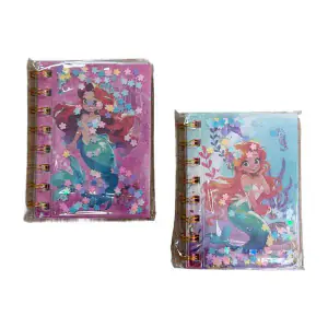 Notesa, sketch pads & diaries, code 17719
